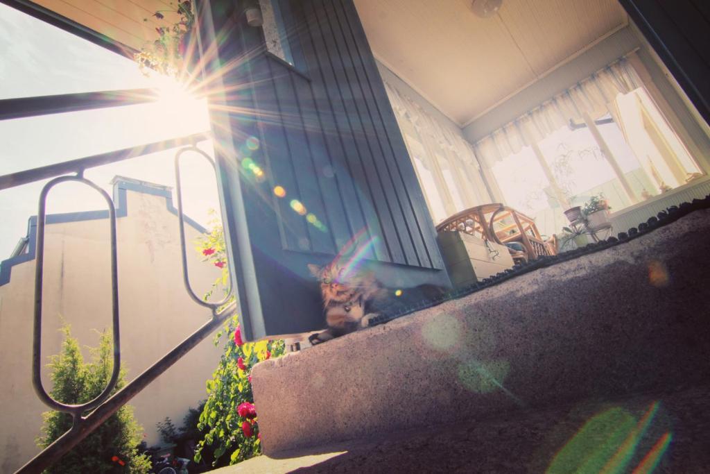 פורי Apartment Hotel Kuukkarin Kortteeri מראה חיצוני תמונה